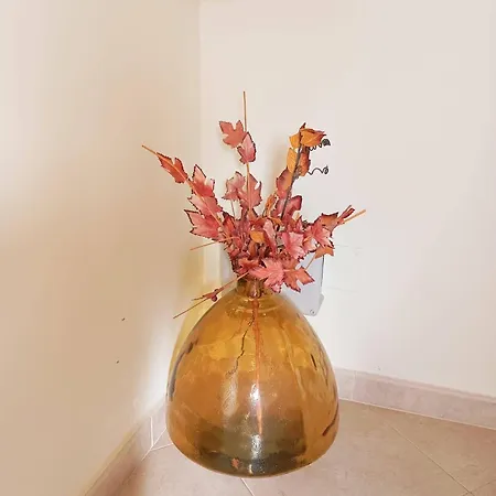 Sweet Oasis Parque Villa Portimão