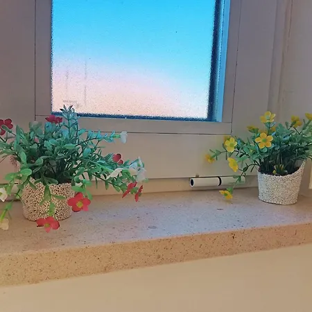 Sweet Oasis Parque *